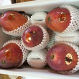 沖縄でマンゴーやパッションフルーツなど絶品のフルーツをお土産に安く買う裏技！