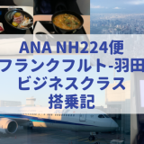 ANAビジネスクラス搭乗記　NH224便フランクフルト発羽田行　ボーイング787−9で約13時間の南回りフライト　