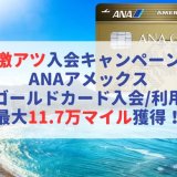 激アツ入会キャンペーン!ANAアメックスゴールド入会・利用で最大11.7万マイル獲得!ANAマイルを一気に貯めよう!(2025年最新版)